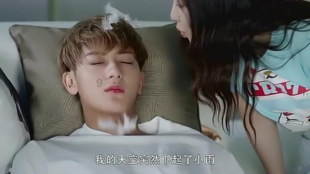 玫瑰月季蔷薇三者有何区别