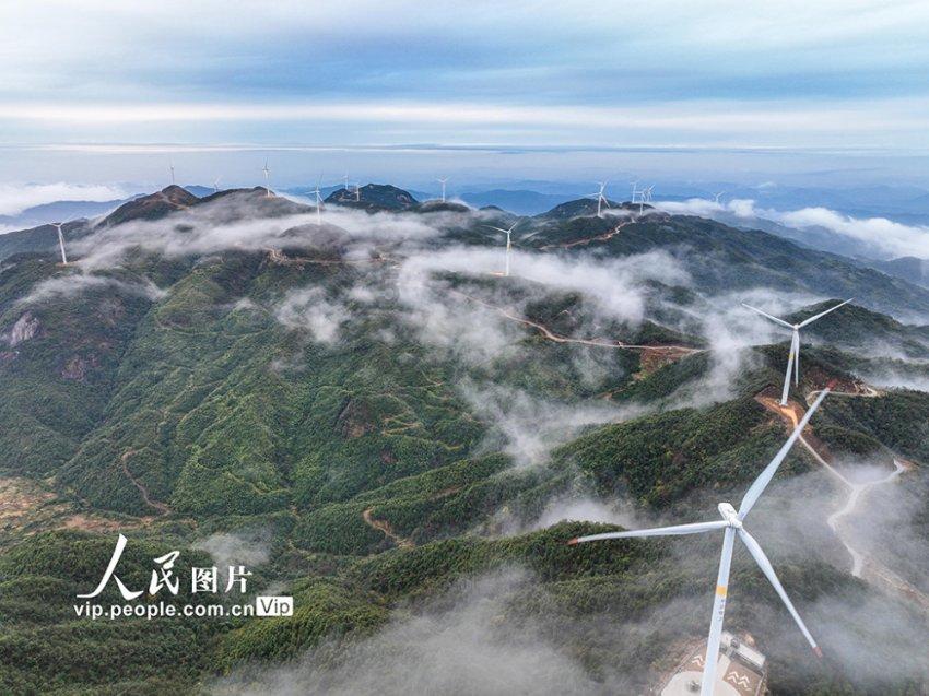 大排量V6发动机 坦克330申报图曝光